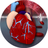 Cardiovascular Health Check